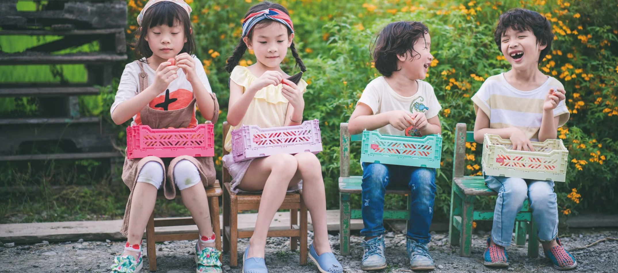 Aykasa Storage Crates