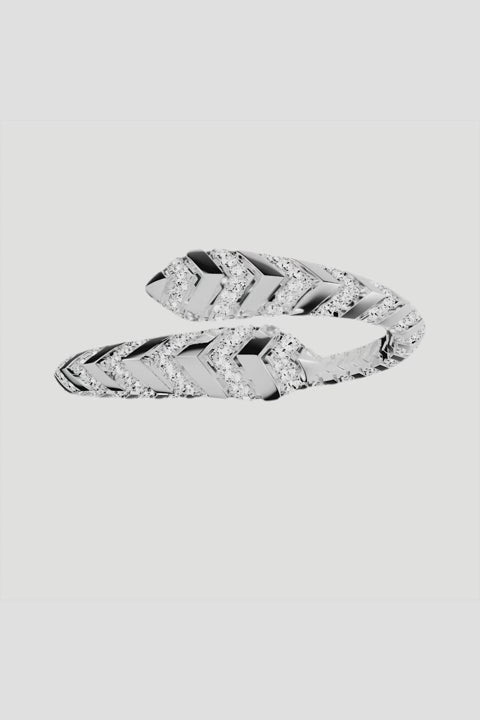 APM Monaco Kaa Bangle video